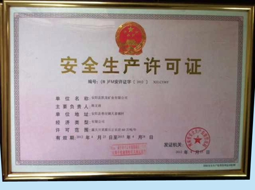 Business License